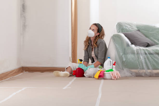 Reliable Basement Mold Remediation contractor in Maple Grove, MN by 24 Hour Mold Removal